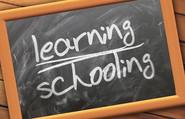 schwarze Tafel mit weißer Kreideaufschrift learning schooling