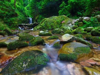 Geroldsauer Wasserfälle, Flußbett mit Steinen und Wasser