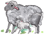 Tiersymbol Spielplatz Schaf