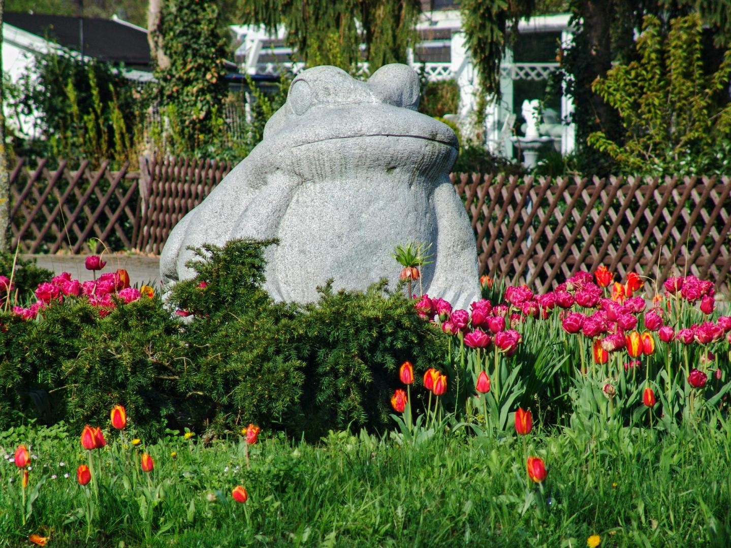Frosch Skulptur Brunnen Bruchhausen Kreisel