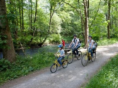 Eine Familie radelt auf einem Waldradweg Eine Familie radelt auf einem Waldradweg