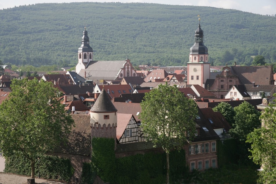 Blick auf Ettlingen Martinskirche, Johanneskirche, Lauerturm