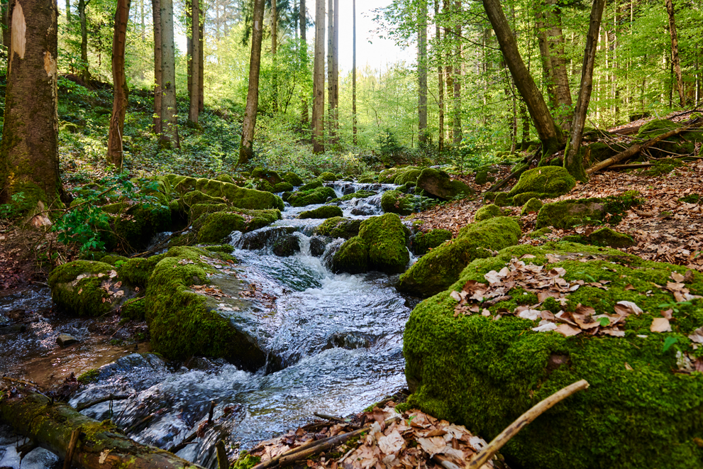 Liebesschlösser an der Fußgängerbrücke