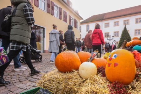 Kürbisstand und Besucher vor dem Ettlinger Schloss