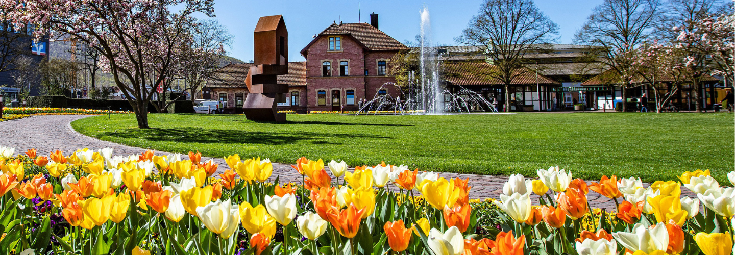 Das Bild zeigt einen blühenden Park mit bunten Tulpen im Vordergrund. Im Hintergrund sind ein Brunnen, moderne Skulpturen und ein historisches Gebäude zu sehen, umgeben von blühenden Bäumen. Stadtgarten