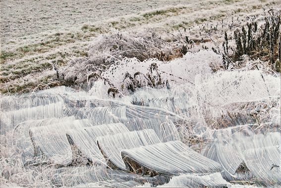 ein Gemälde von Karin Kieltsch. Sie hat dafür eine Fotoarbeit übermalt. 